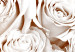 Poster Rose Garden - landscape of field of rose flowers in delicate pink shade 123901 additionalThumb 8