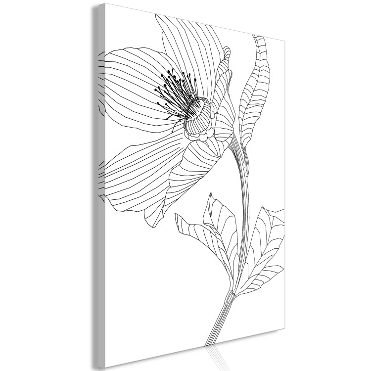 Canvas Print Sketched flower - black and white plant contours in line art style 128401 additionalImage 2