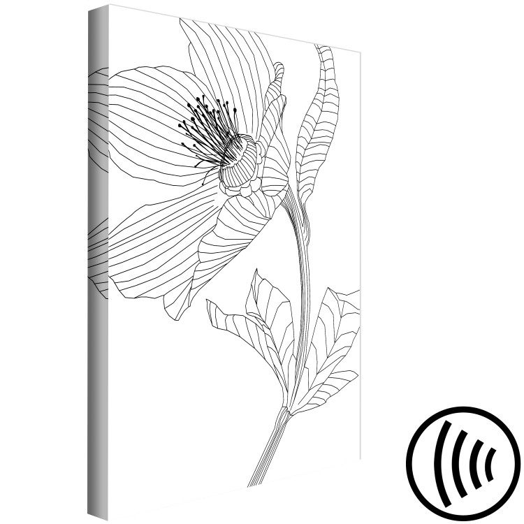 Canvas Print Sketched flower - black and white plant contours in line art style 128401 additionalImage 6