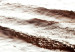 Canvas September Rhythm (1-piece) Vertical - sepia beach landscape 129701 additionalThumb 5