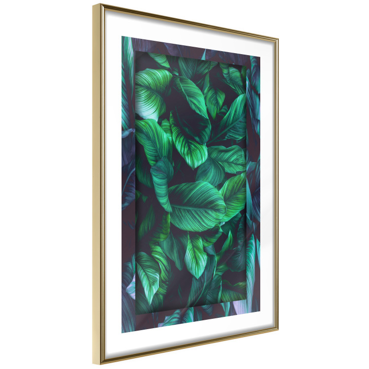 Wall Poster Dangerous Jungle - green composition of leaves in a tropical motif 134501 additionalImage 9