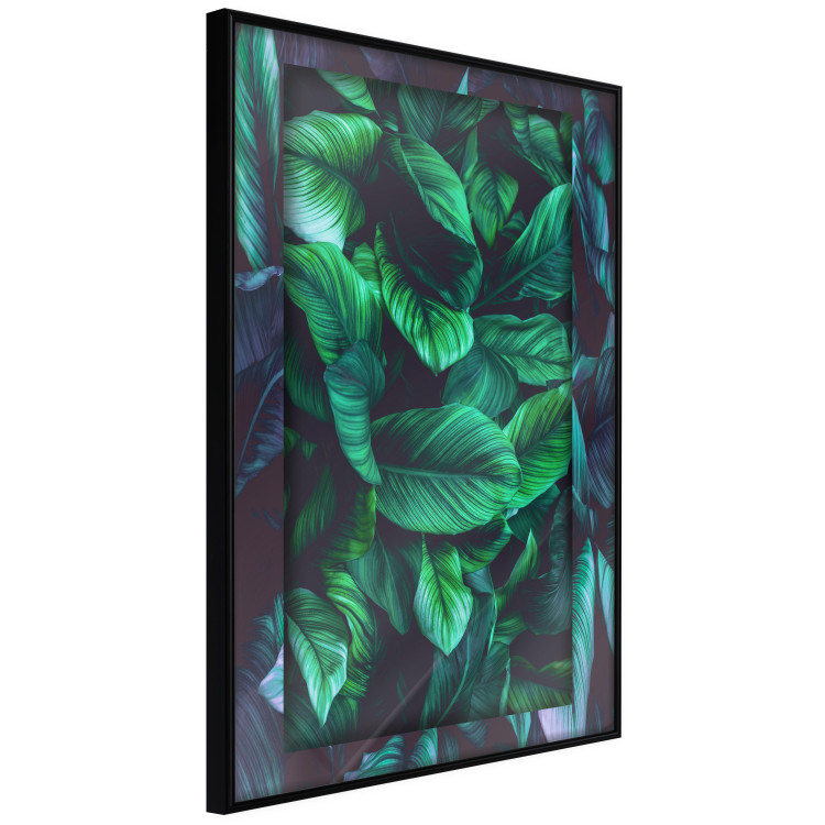Wall Poster Dangerous Jungle - green composition of leaves in a tropical motif 134501 additionalImage 11
