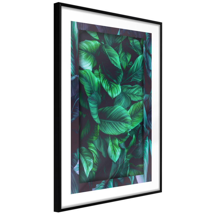 Wall Poster Dangerous Jungle - green composition of leaves in a tropical motif 134501 additionalImage 6
