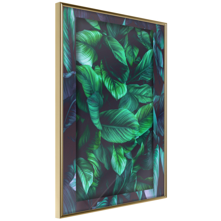 Wall Poster Dangerous Jungle - green composition of leaves in a tropical motif 134501 additionalImage 12