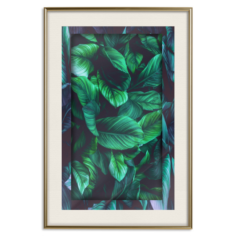 Wall Poster Dangerous Jungle - green composition of leaves in a tropical motif 134501 additionalImage 20