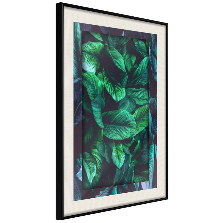 Wall Poster Dangerous Jungle - green composition of leaves in a tropical motif 134501 additionalImage 2