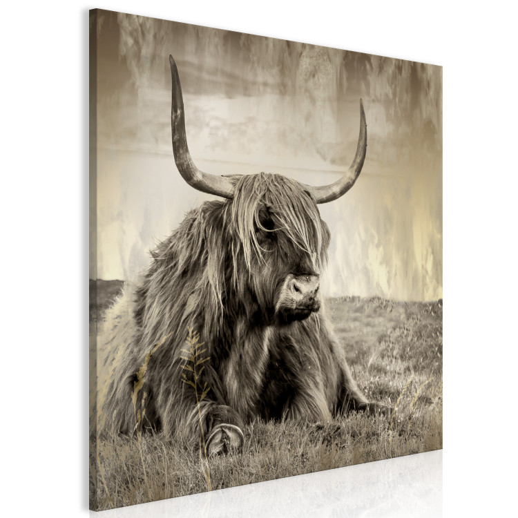 Canvas Rest in the Meadow (1-piece) Square - bull amidst nature in sepia 134701 additionalImage 2