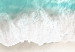 Wall Poster Turquoise Expansion - tropical beach and plant landscape against sea 135301 additionalThumb 7