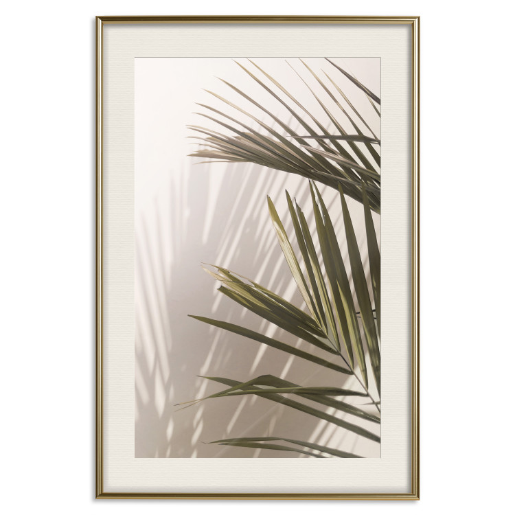 Wall Poster Palm Leaves - Sunny View With a Peaceful Play of Shade and Light 145301 additionalImage 25