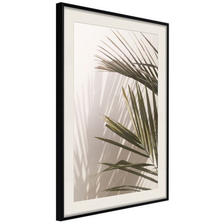 Wall Poster Palm Leaves - Sunny View With a Peaceful Play of Shade and Light 145301 additionalImage 12