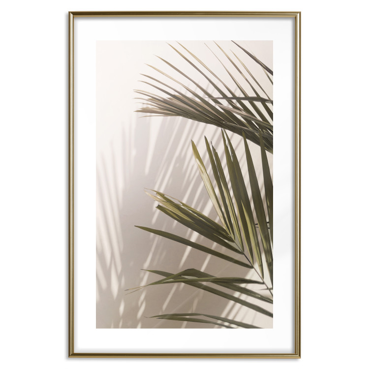 Wall Poster Palm Leaves - Sunny View With a Peaceful Play of Shade and Light 145301 additionalImage 23