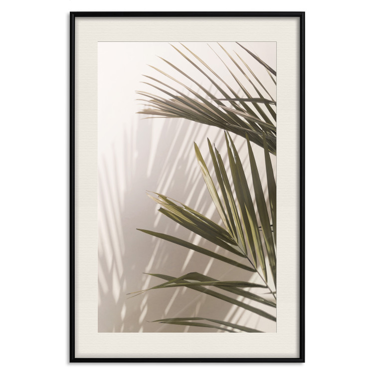 Wall Poster Palm Leaves - Sunny View With a Peaceful Play of Shade and Light 145301 additionalImage 27