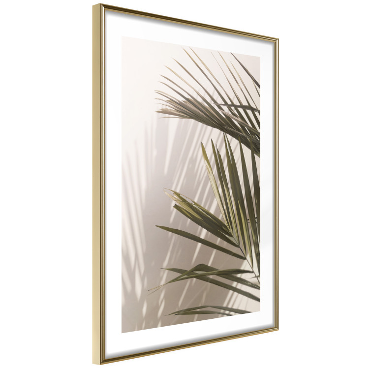 Wall Poster Palm Leaves - Sunny View With a Peaceful Play of Shade and Light 145301 additionalImage 14