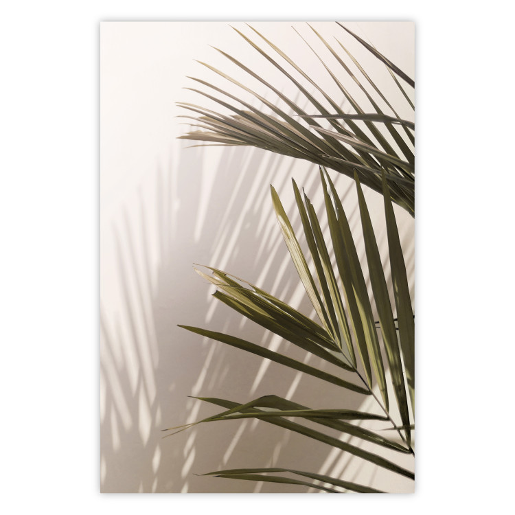 Wall Poster Palm Leaves - Sunny View With a Peaceful Play of Shade and Light 145301