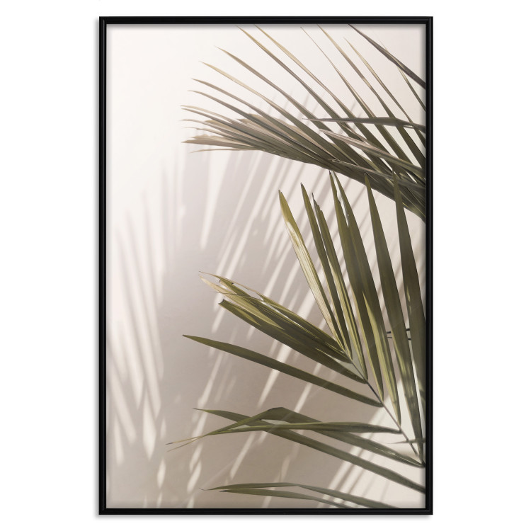 Wall Poster Palm Leaves - Sunny View With a Peaceful Play of Shade and Light 145301 additionalImage 21