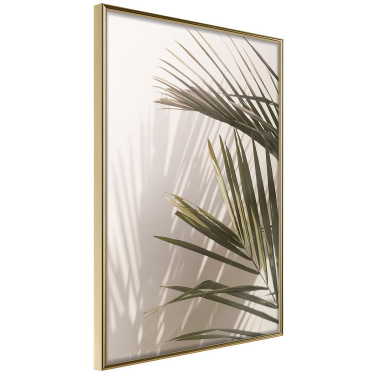Wall Poster Palm Leaves - Sunny View With a Peaceful Play of Shade and Light 145301 additionalImage 7