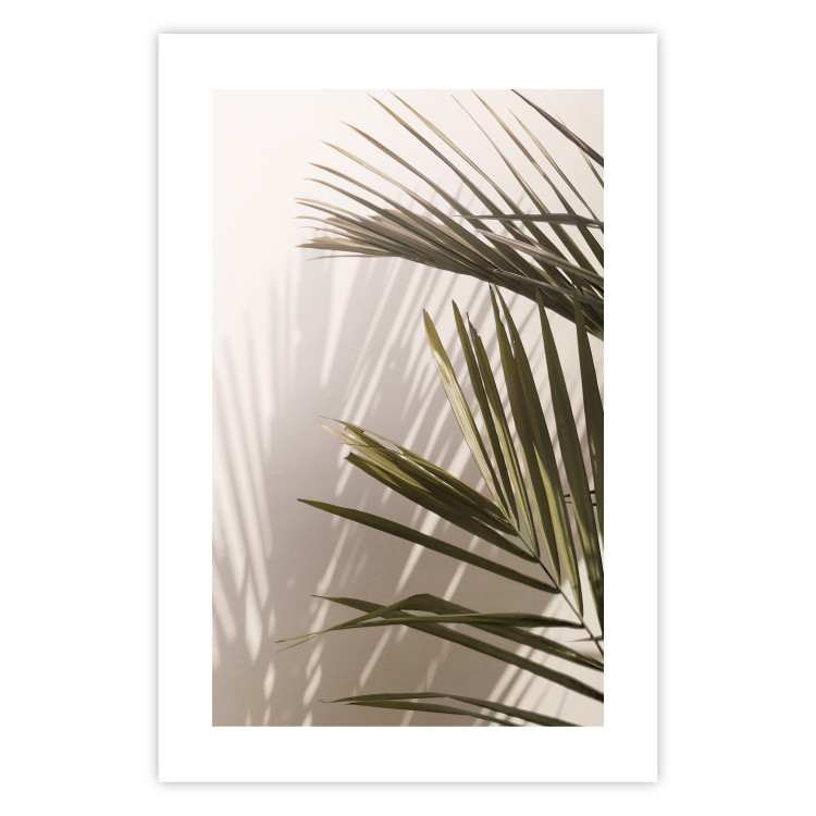 Wall Poster Palm Leaves - Sunny View With a Peaceful Play of Shade and Light 145301 additionalImage 26