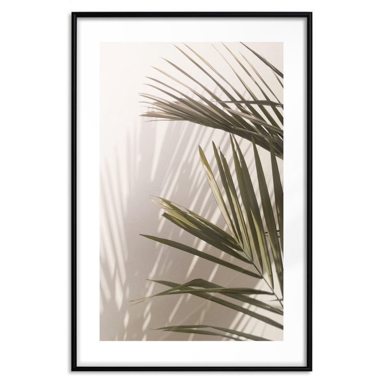 Wall Poster Palm Leaves - Sunny View With a Peaceful Play of Shade and Light 145301 additionalImage 4