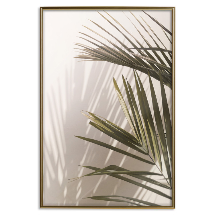 Wall Poster Palm Leaves - Sunny View With a Peaceful Play of Shade and Light 145301 additionalImage 22