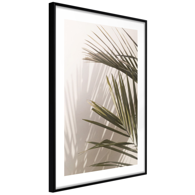 Wall Poster Palm Leaves - Sunny View With a Peaceful Play of Shade and Light 145301 additionalImage 5