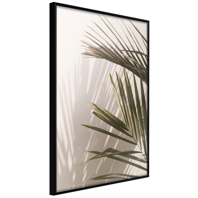 Wall Poster Palm Leaves - Sunny View With a Peaceful Play of Shade and Light 145301 additionalImage 9