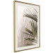 Wall Poster Palm Leaves - Sunny View With a Peaceful Play of Shade and Light 145301 additionalThumb 14
