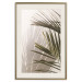 Wall Poster Palm Leaves - Sunny View With a Peaceful Play of Shade and Light 145301 additionalThumb 25