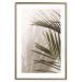 Wall Poster Palm Leaves - Sunny View With a Peaceful Play of Shade and Light 145301 additionalThumb 23