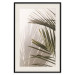 Wall Poster Palm Leaves - Sunny View With a Peaceful Play of Shade and Light 145301 additionalThumb 27