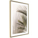 Wall Poster Palm Leaves - Sunny View With a Peaceful Play of Shade and Light 145301 additionalThumb 14