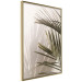 Wall Poster Palm Leaves - Sunny View With a Peaceful Play of Shade and Light 145301 additionalThumb 7