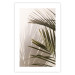 Wall Poster Palm Leaves - Sunny View With a Peaceful Play of Shade and Light 145301 additionalThumb 26