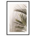 Wall Poster Palm Leaves - Sunny View With a Peaceful Play of Shade and Light 145301 additionalThumb 4
