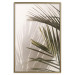 Wall Poster Palm Leaves - Sunny View With a Peaceful Play of Shade and Light 145301 additionalThumb 22