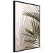 Wall Poster Palm Leaves - Sunny View With a Peaceful Play of Shade and Light 145301 additionalThumb 9