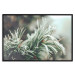 Poster Winter Charm - A Photograph of a Coniferous Twig Covered in Frost 151701 additionalThumb 15