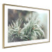 Poster Winter Charm - A Photograph of a Coniferous Twig Covered in Frost 151701 additionalThumb 20