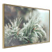 Poster Winter Charm - A Photograph of a Coniferous Twig Covered in Frost 151701 additionalThumb 6