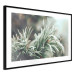 Poster Winter Charm - A Photograph of a Coniferous Twig Covered in Frost 151701 additionalThumb 8