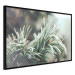 Poster Winter Charm - A Photograph of a Coniferous Twig Covered in Frost 151701 additionalThumb 5