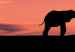 Canvas Print African elephants family 58801 additionalThumb 4