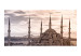 Wall Mural Blue Mosque - Istanbul 97201 additionalThumb 1