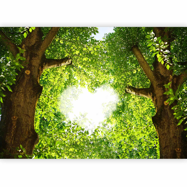 Photo Wallpaper Love clearance - landscape with green treetops and heart motif 106611 additionalImage 5