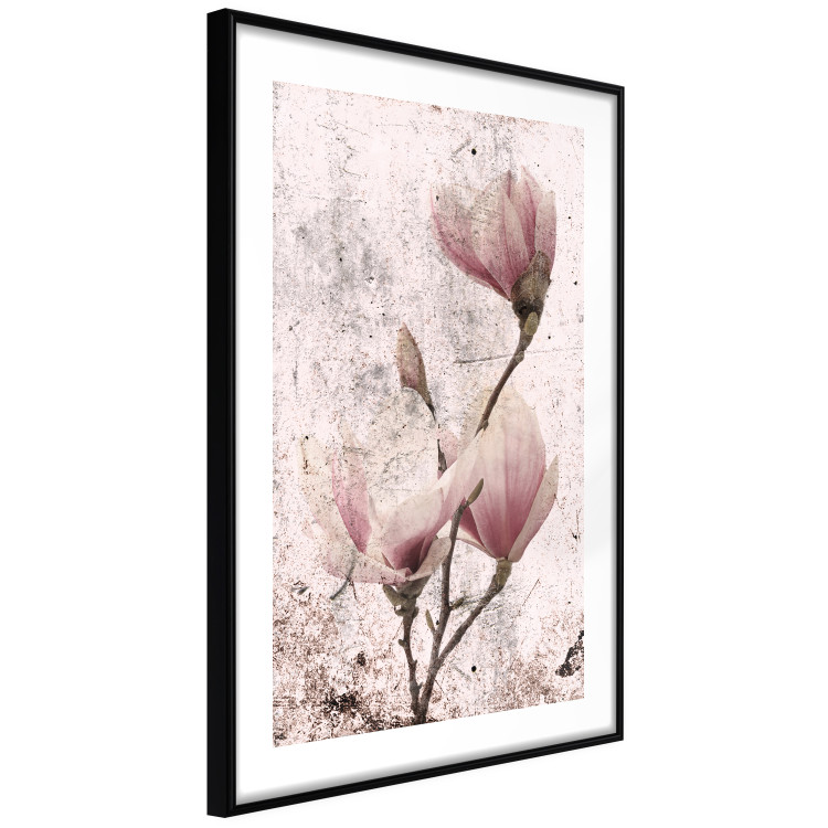 Poster Mature Magnolia - vintage composition with flowers on a pastel background 118611 additionalImage 11