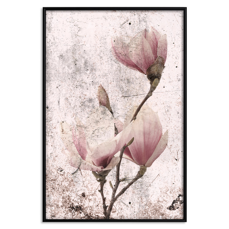 Poster Mature Magnolia - vintage composition with flowers on a pastel background 118611 additionalImage 24