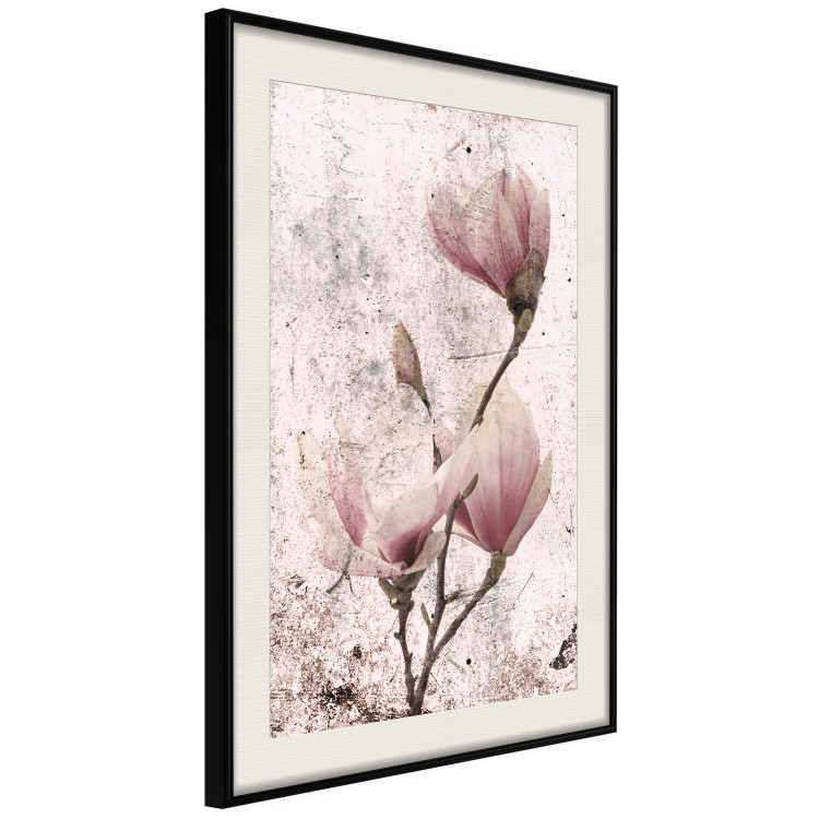 Poster Mature Magnolia - vintage composition with flowers on a pastel background 118611 additionalImage 3