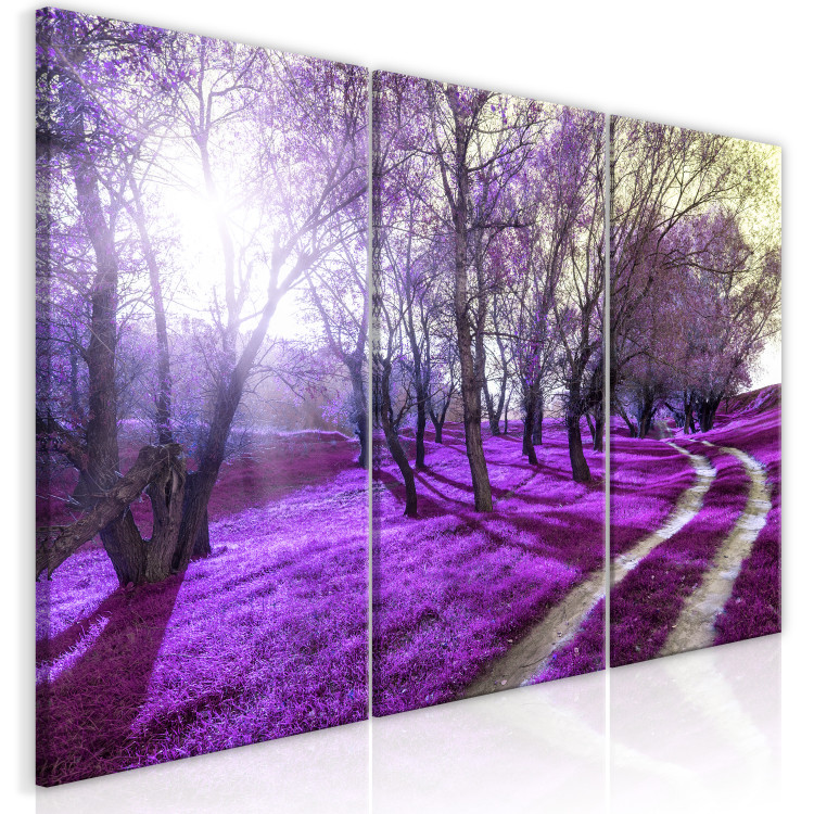 Canvas Art Print Purple alley - forest landscape with lavender plain and sunlight 122211 additionalImage 2