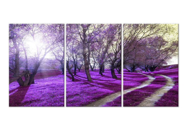 Canvas Art Print Purple alley - forest landscape with lavender plain and sunlight 122211