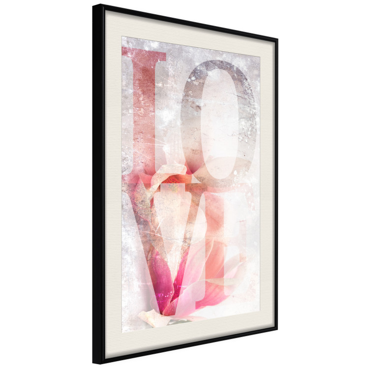 Poster Magnolia Love - colorful English text on a concrete texture background 123411 additionalImage 3