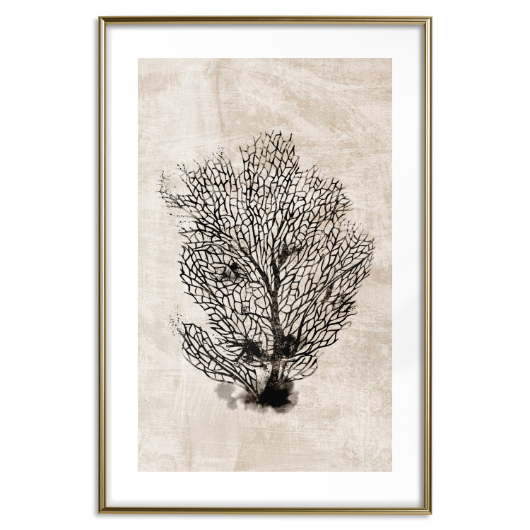 Poster Sea Fan - dark plant composition on a beige textured background 134511 additionalImage 16